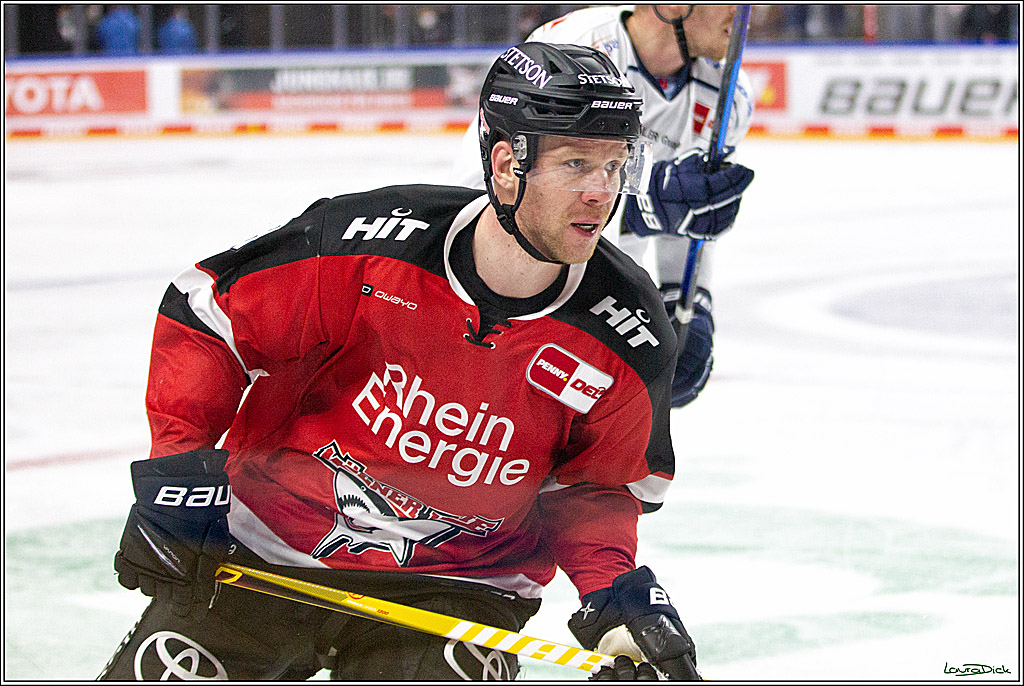 PENNY DEL;  Koelner Haie - Straubing Tigers; Koeln, 15.10.2021